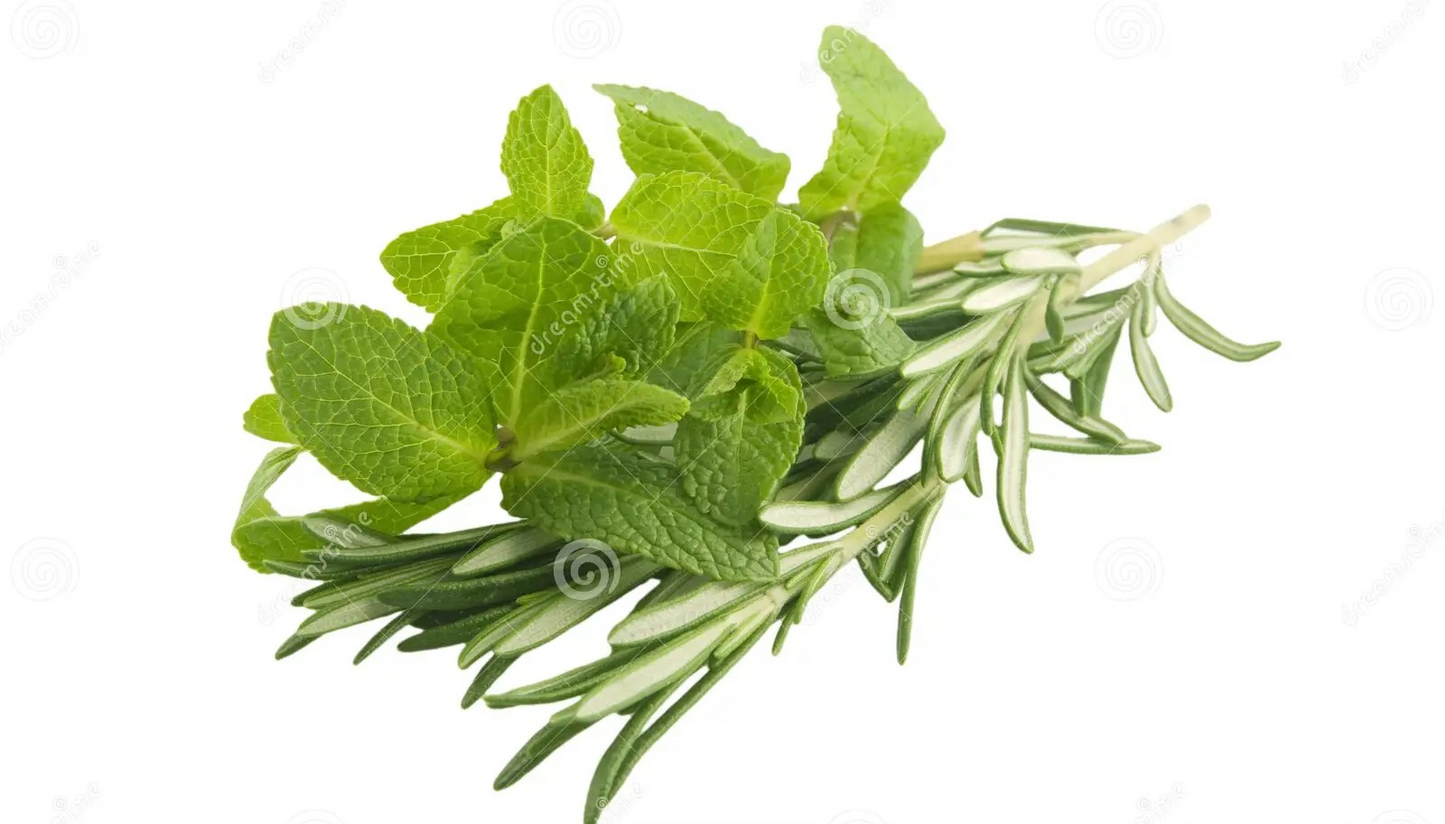 Rosemary Mint Strengthening Conditioner - Rosemary oil and Keratin Strengthens and stimulates hair growth